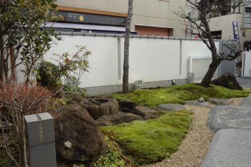 The beautiful garden.