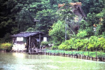 <p>Nestled among the beautiful nature</p>