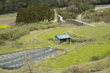 <p>The trail winds through small, terraced rice fields on mountainsides</p>