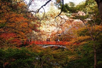 Watching the seasons change
