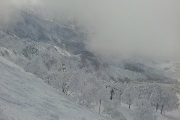 <p>A steep start to one of the main runs</p>