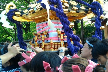  Sanja Matsuri เทศกาลแห่ศาลเจ้า