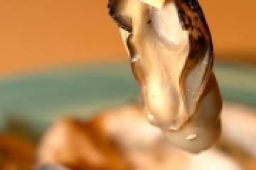 Kanawa's famous grilled oysters