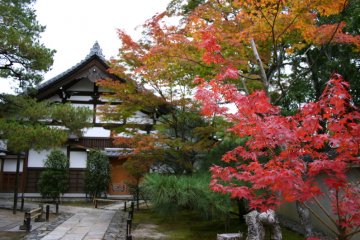 Tenryu-ji Temple