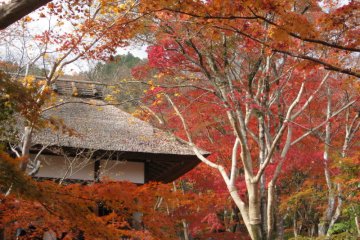 Jojakkou-ji Temple