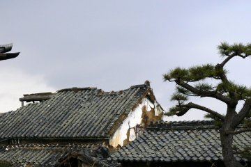 <p>A crumbling house in the village</p>