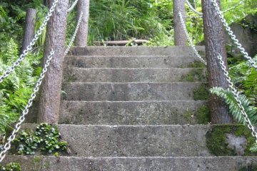 <p>Steps up towards the summit</p>