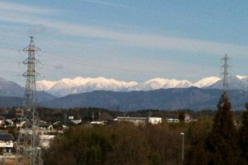 The View