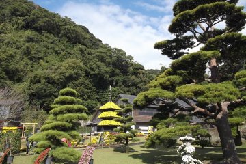 <p>Some of the garden's peaceful scenery</p>
