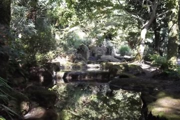 <p>The grove of shady trees around the base of the hill</p>