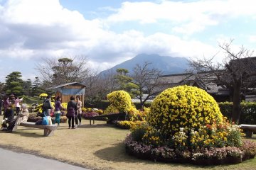 <p>The lawns and topiary are immaculately tended</p>
