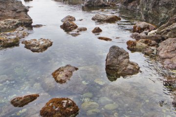 A Solid-Rock Nature Walk
