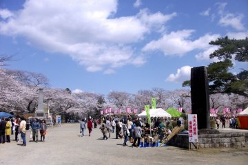 <p>Festival area at the base of the hill.</p>