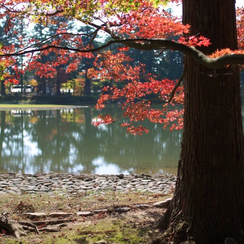 Temple Garden