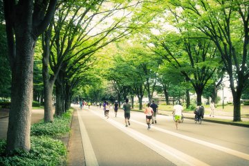 Komazawa Olympic Park