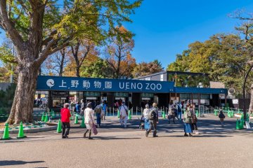 Zoo d'Ueno