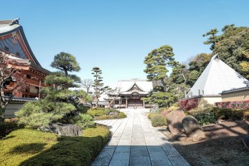 Temple Ikegami Honmonji