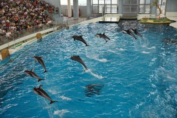 Hakkeijima Sea Paradise