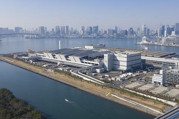 Toyosu Fish Market