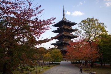 Toji Temple