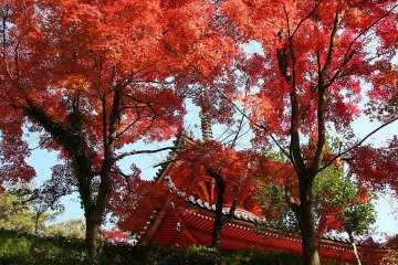 Mitaki Temple