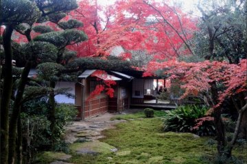 Kunenan Garden