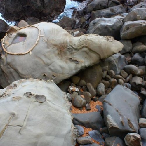 Turtle Rock