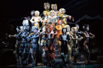 Teatro Cats