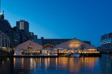 T.Y. Harbor