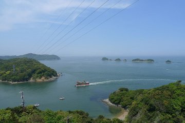 Dolphin Island
