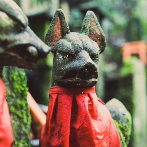 Fox Statues