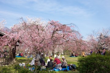 Maizuru Park
