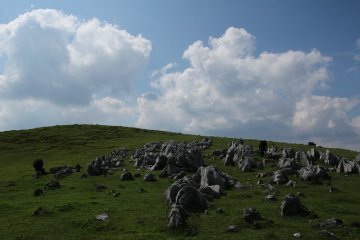 Shikoku Karst Natural Park