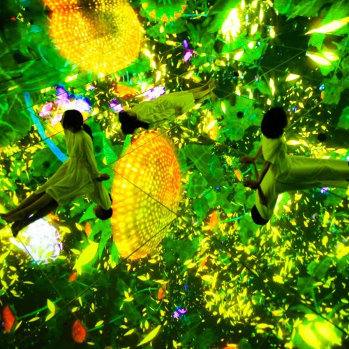 teamLab Planets TOKYO DMM