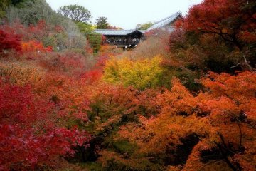 Tofukuji Temple