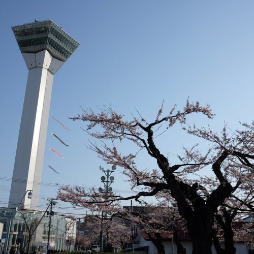 Goryokaku Tower