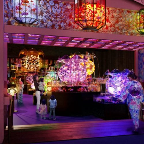 Art Aquarium Museum