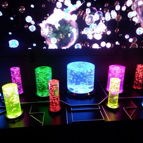 Art Aquarium Museum