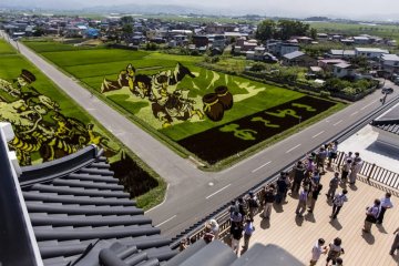 Inakadate Rice Art Fields