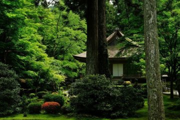 Sanzen-in Temple