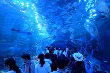 Shinagawa Aquarium