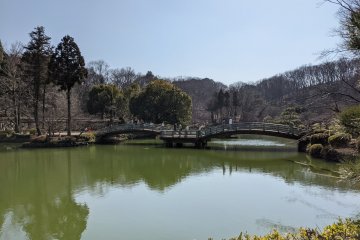Yakushi-ike Park