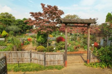 Kiba Park