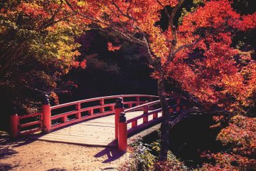 Momijidani Park