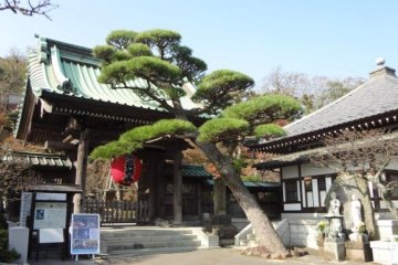 Hasedera Temple