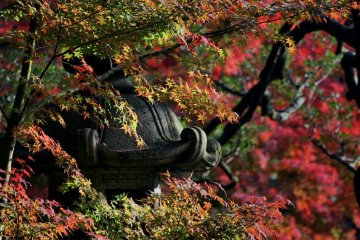 Rikugi-en