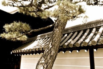 Myoshinji Temple