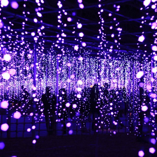 Light Flower Garden