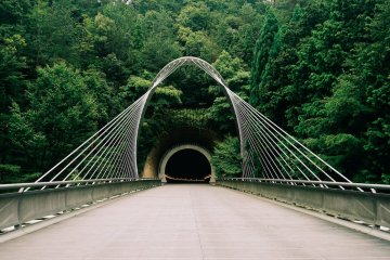 Miho Museum