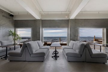UNDER THE PALMO HAYAMA